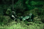 Trickstuff_Direttissima_Forest_Green_2026_Detail_0489_1920px.jpg